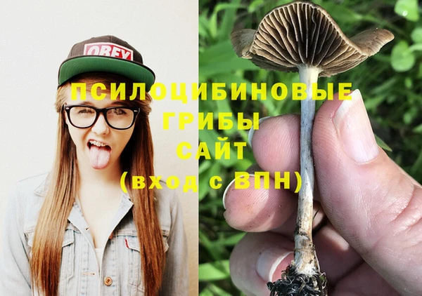шишки Алексеевка