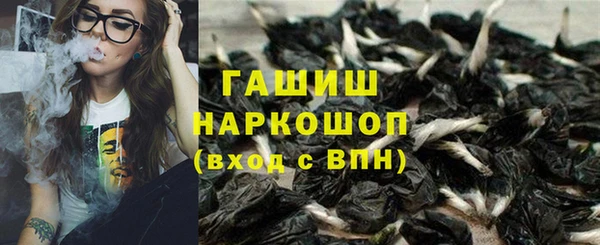 индика Переславль-Залесский