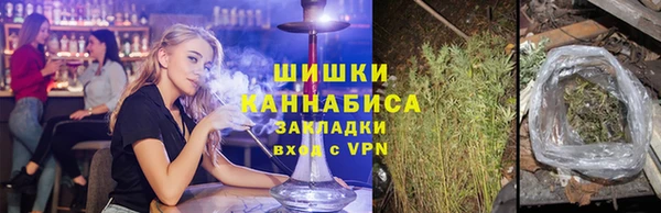 шишки Алексеевка